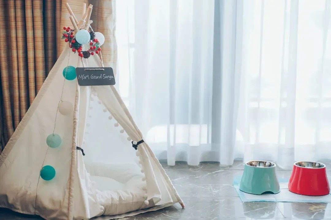 带“毛孩子”来三亚度假？住就对了